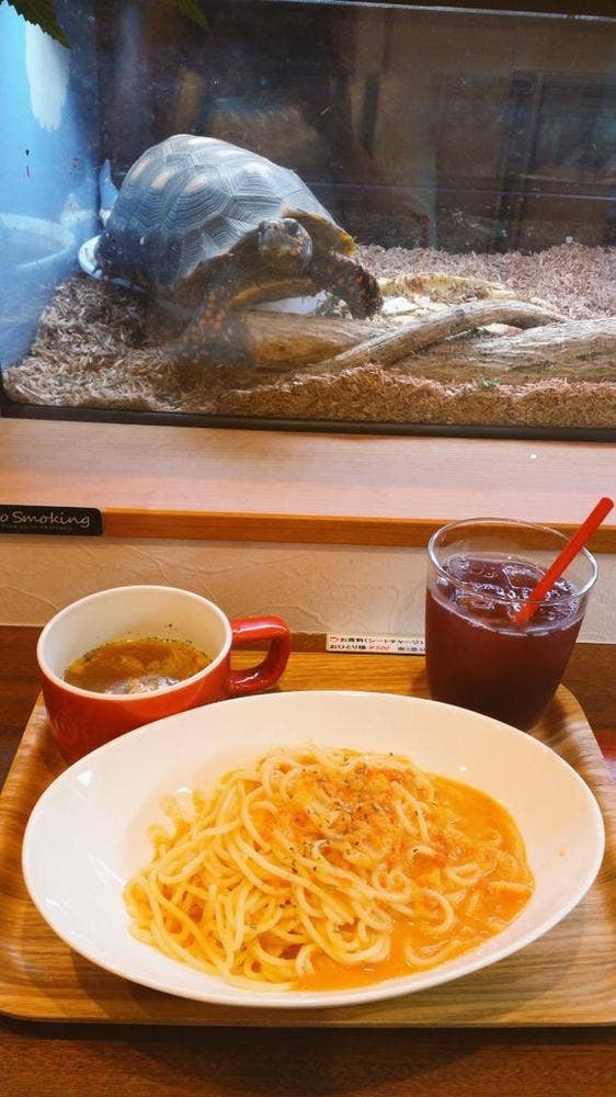 ジュラカフェ