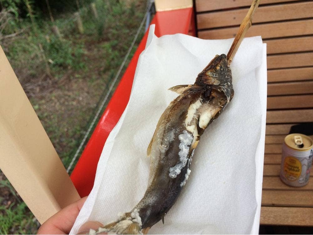 養老川漁業共同組合