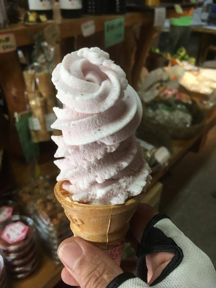 古道の杜 あんちゃん
