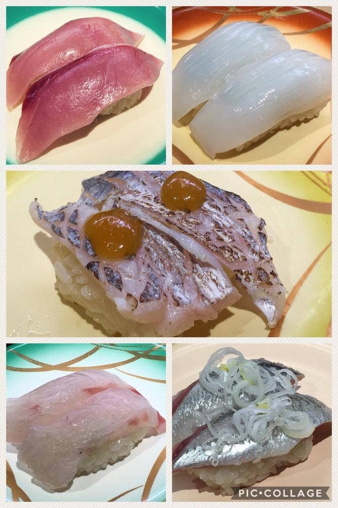 将軍寿司
