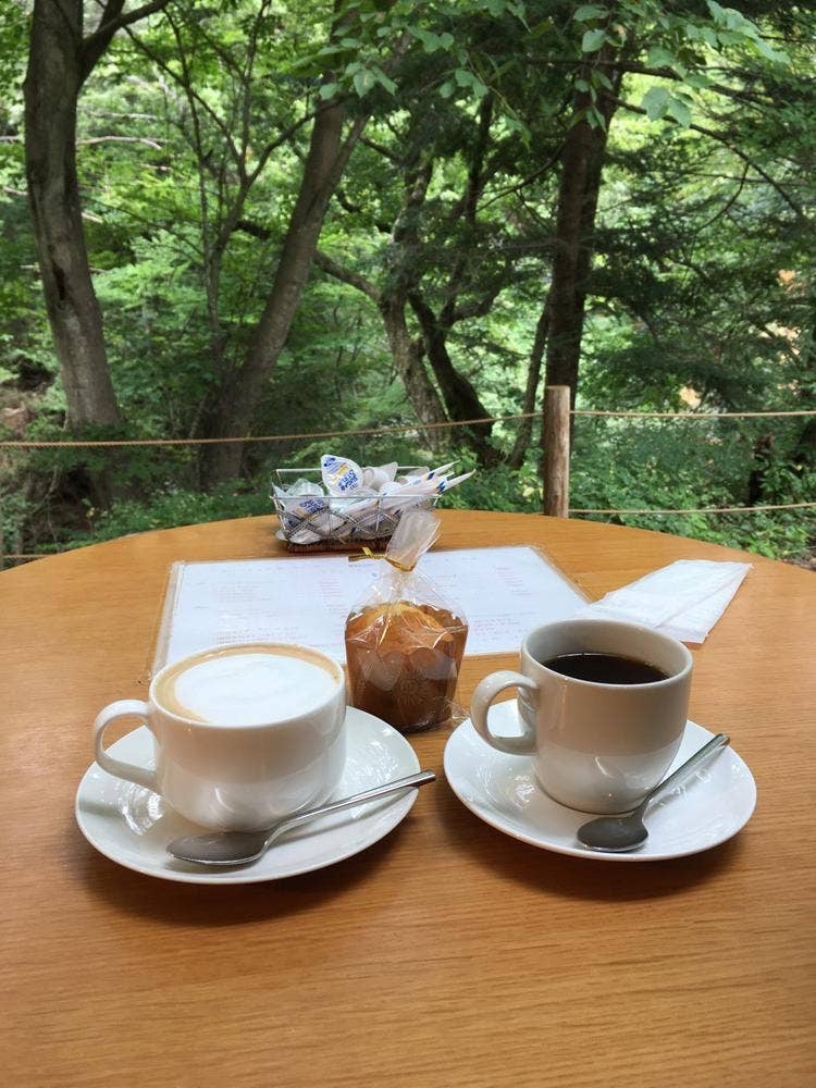 森のカフェ KISEKI