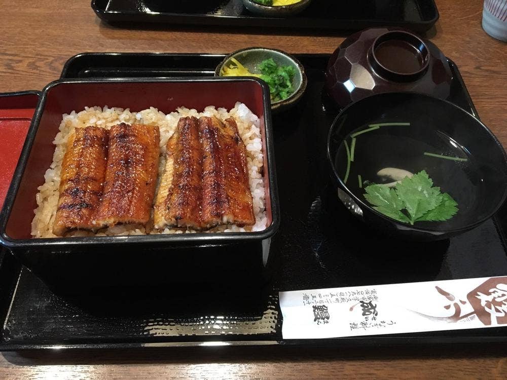 成鰻