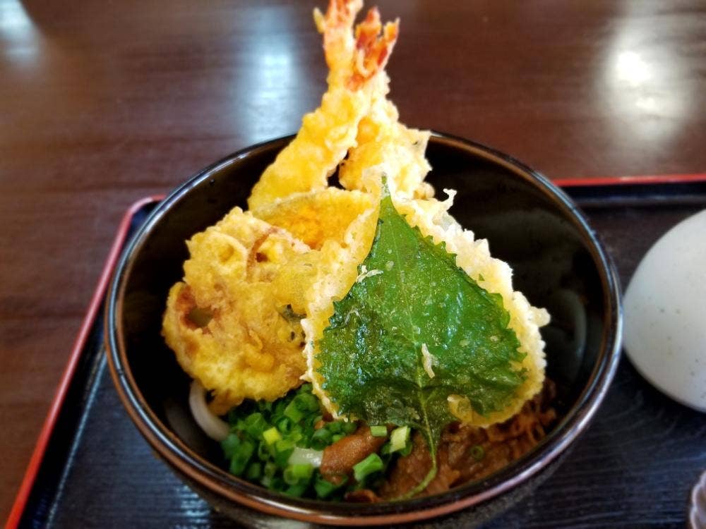 龍輝うどん