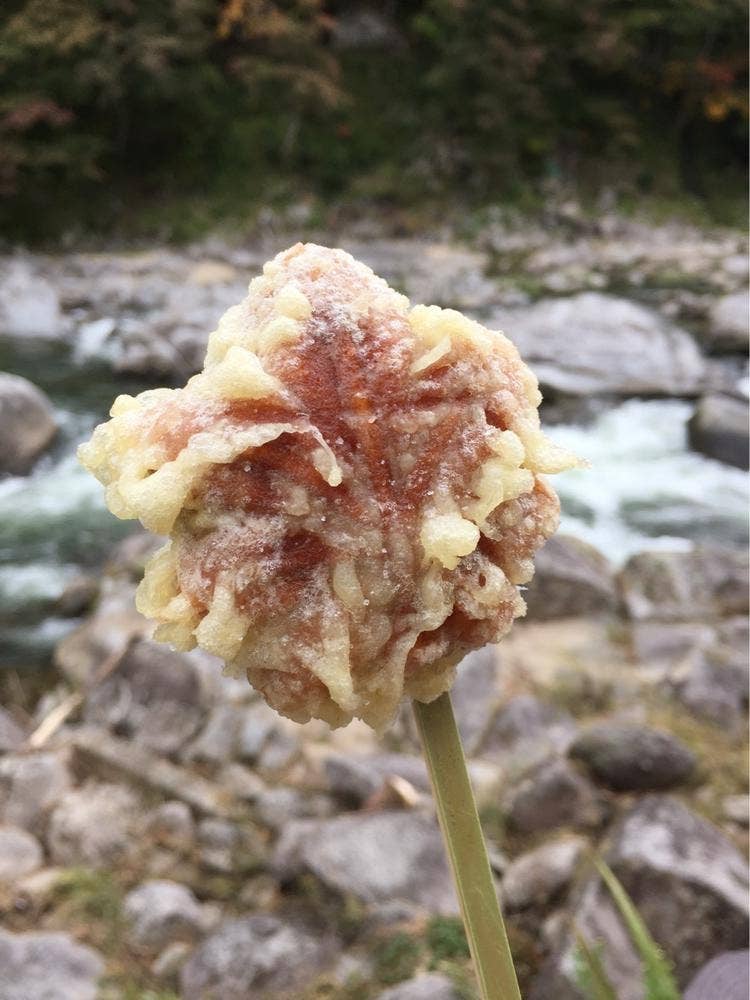 玉田屋旅館