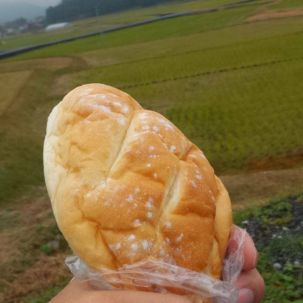 ミスターパンヤ