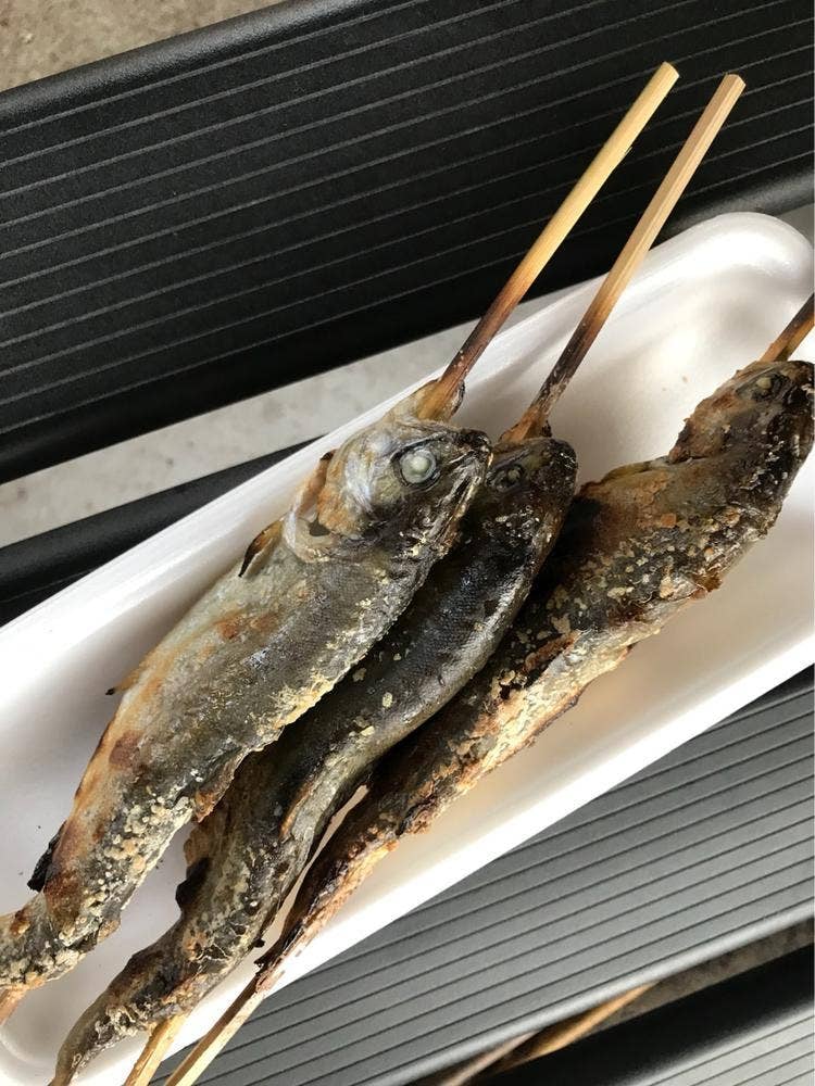 渓流釣り 軽井沢おもちゃ王国