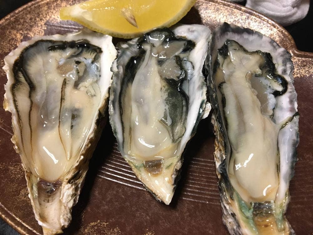 魚政