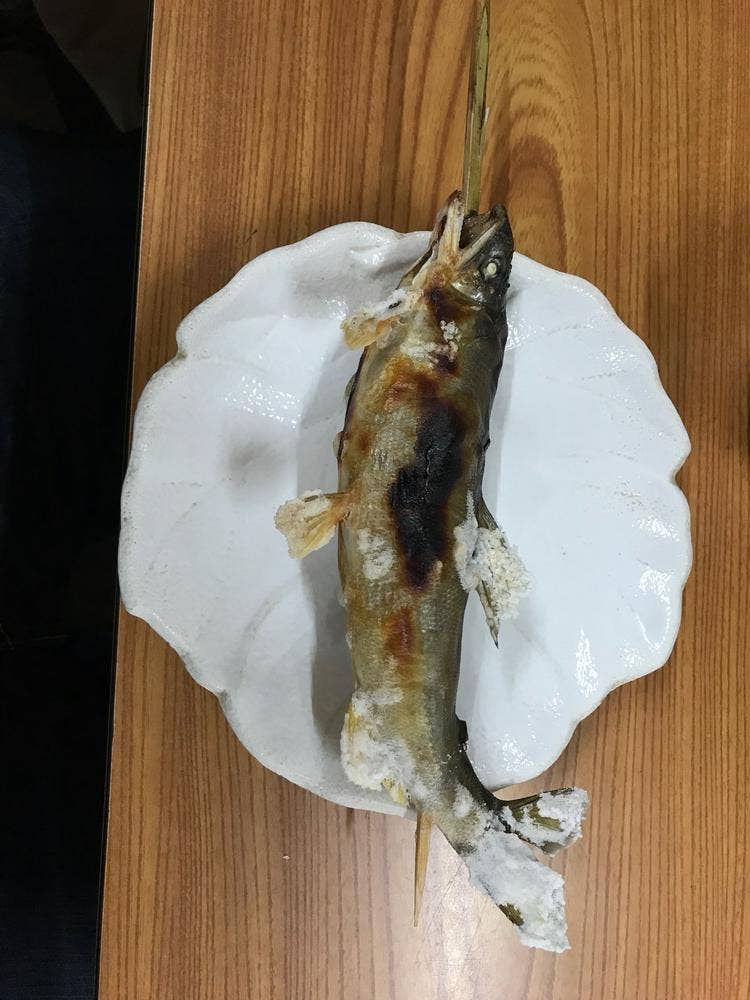 やたて