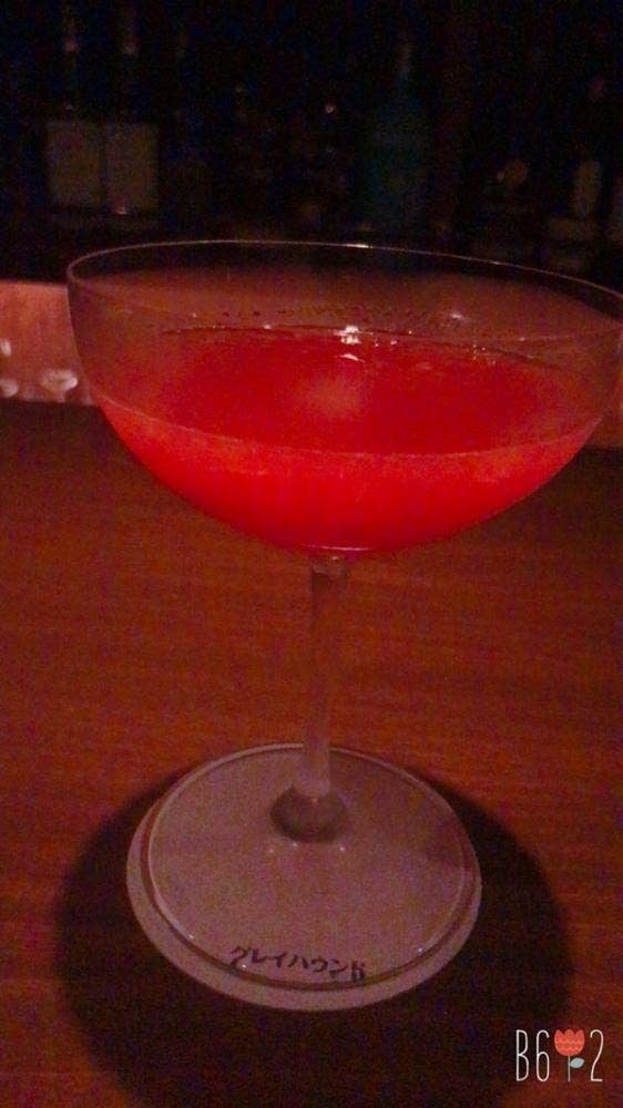 BAR GREYHOUND