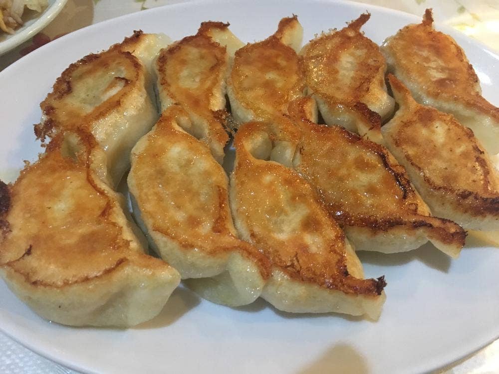 友ちゃん餃子