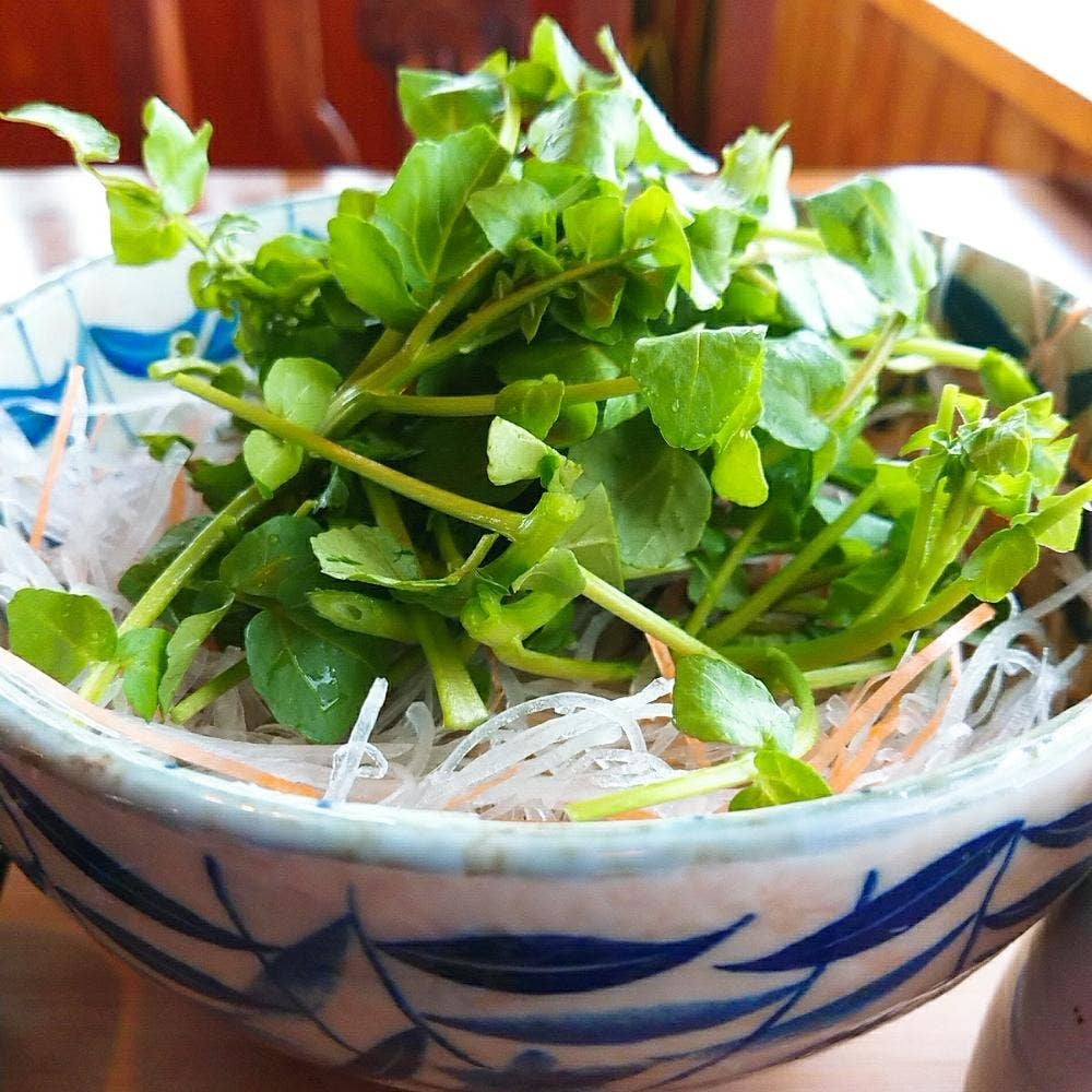 手打そば 陽より