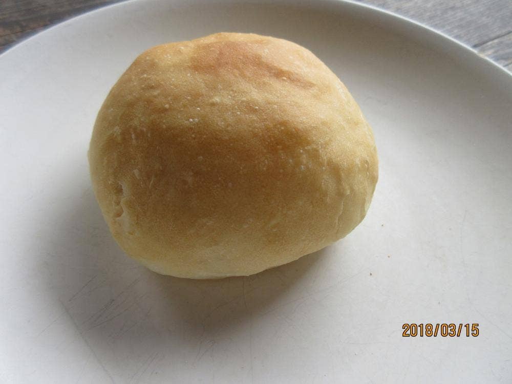 むくの木