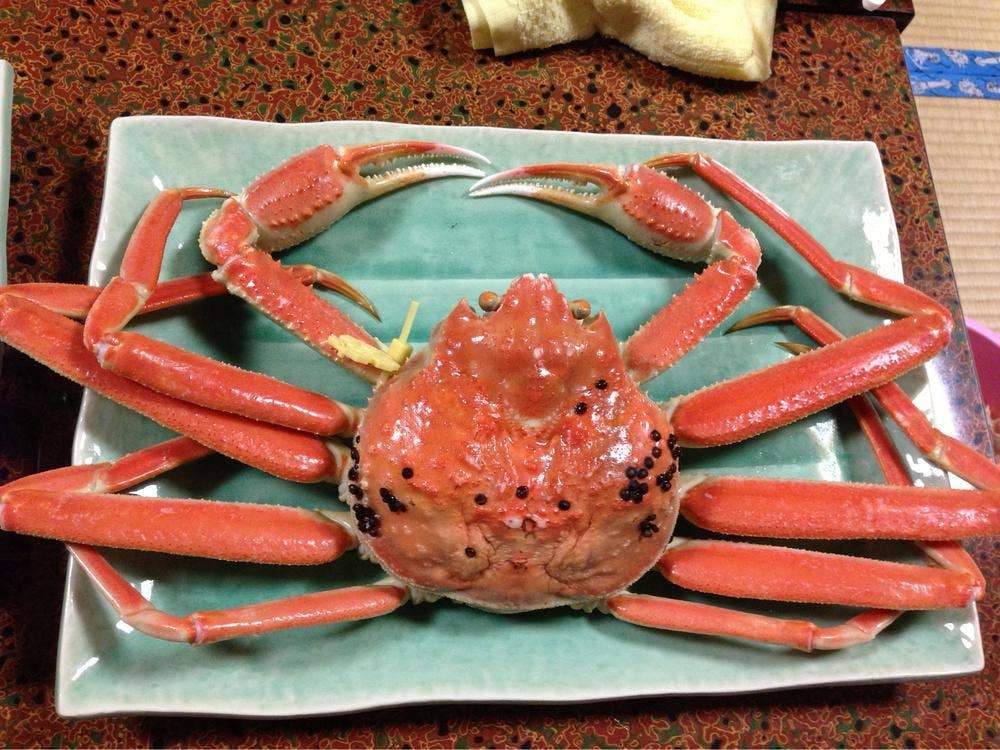 民宿 品野