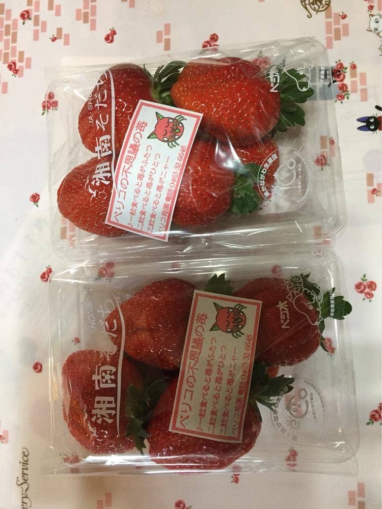 ベリコの不思議の苺園