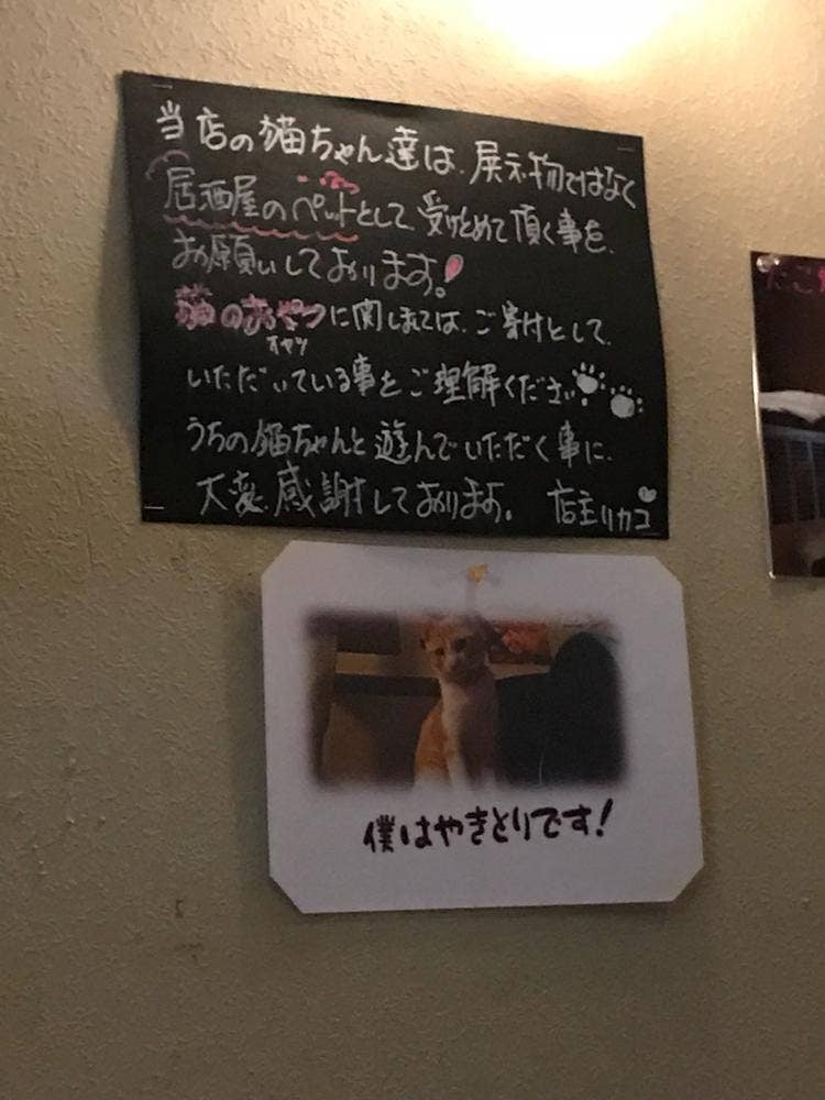 居酒屋 だっしゅ村