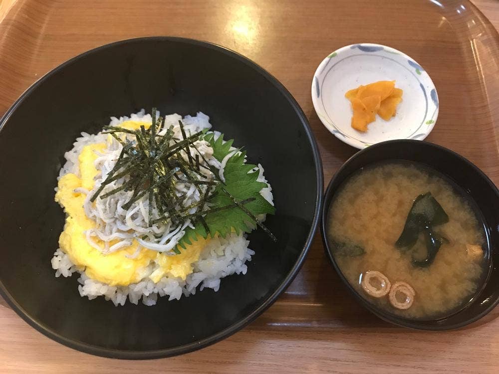 サクラ