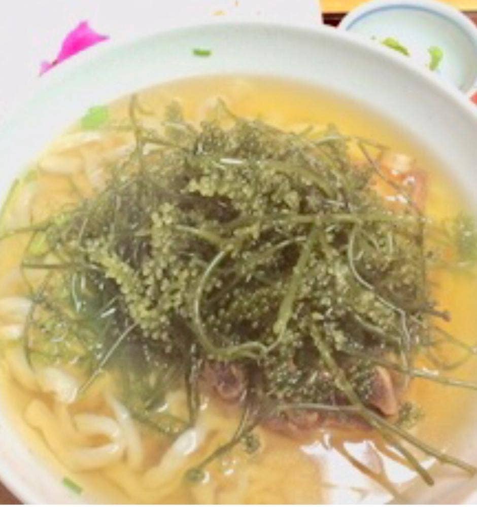 夢の舎