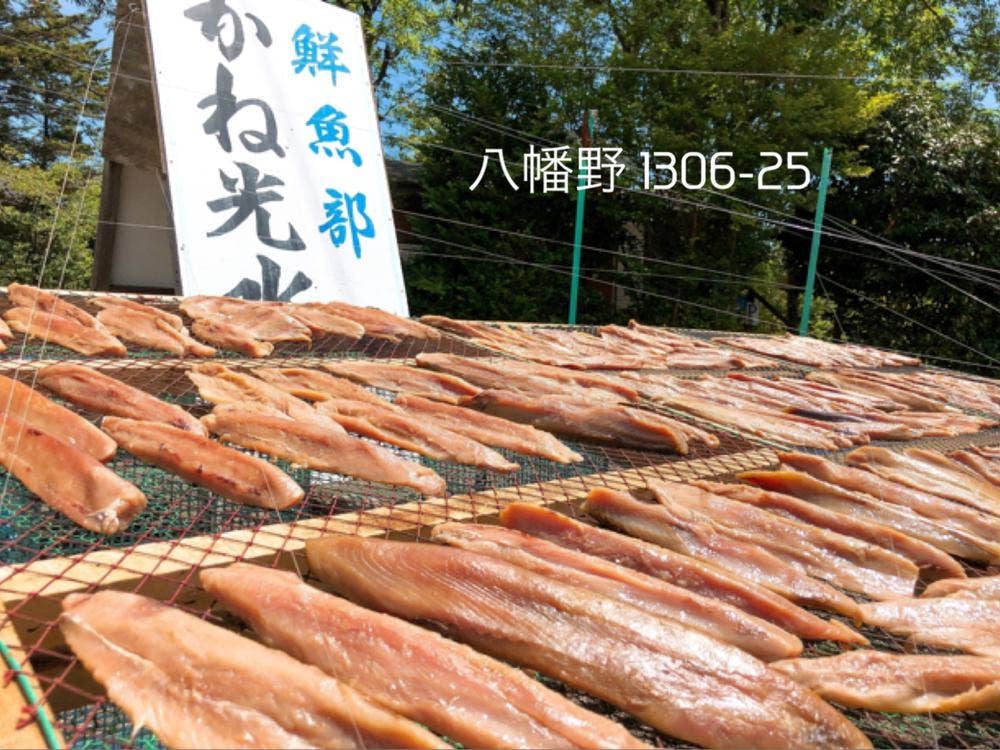 カネ光水産