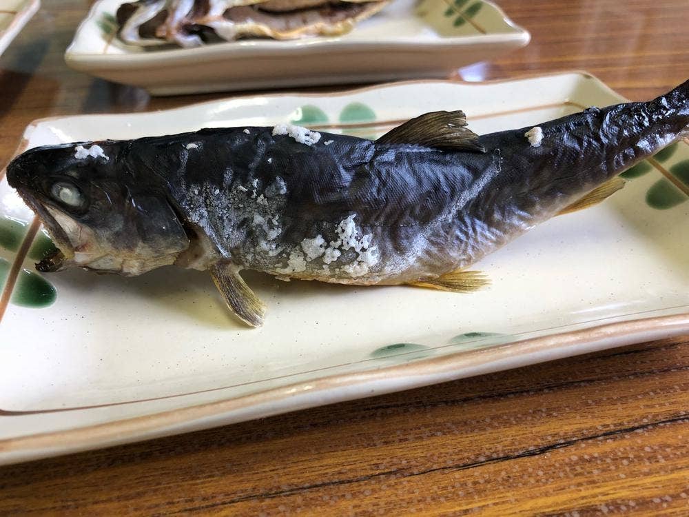 峠のイワナ屋