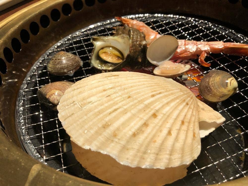 海へい波へい