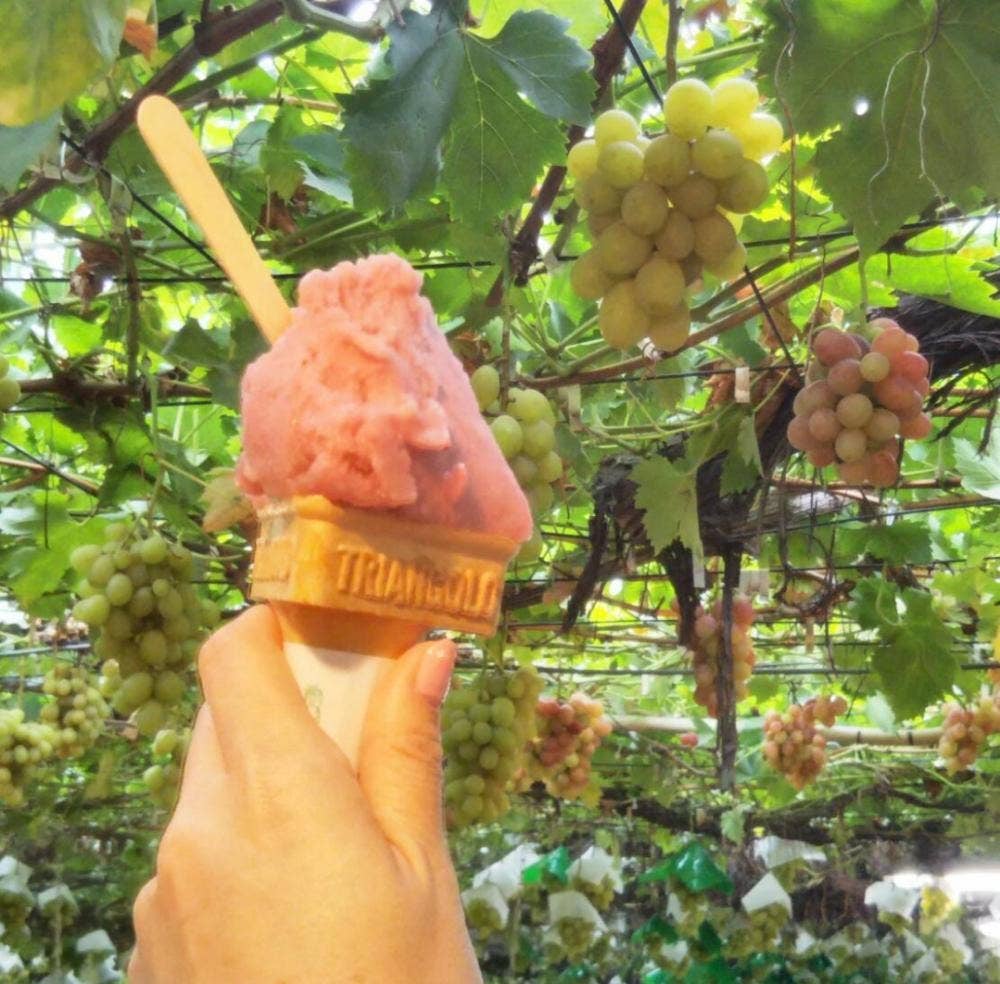 白根グレープガーデン