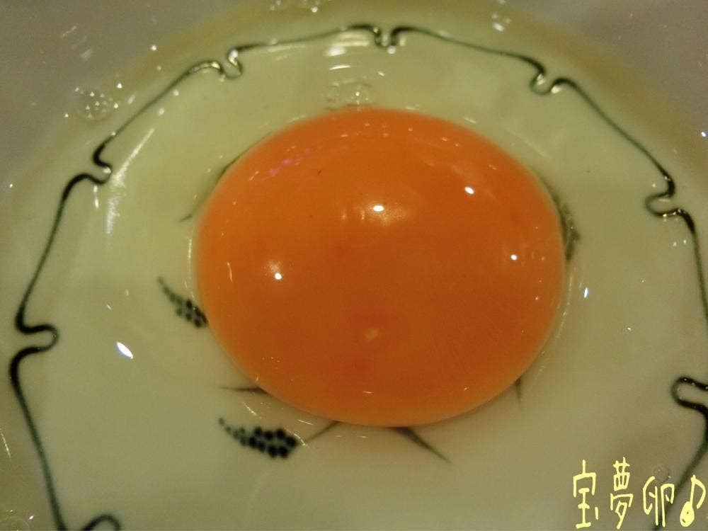 宝夢卵