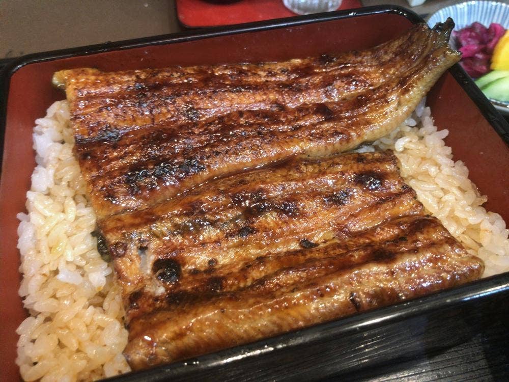 うなぎの万田