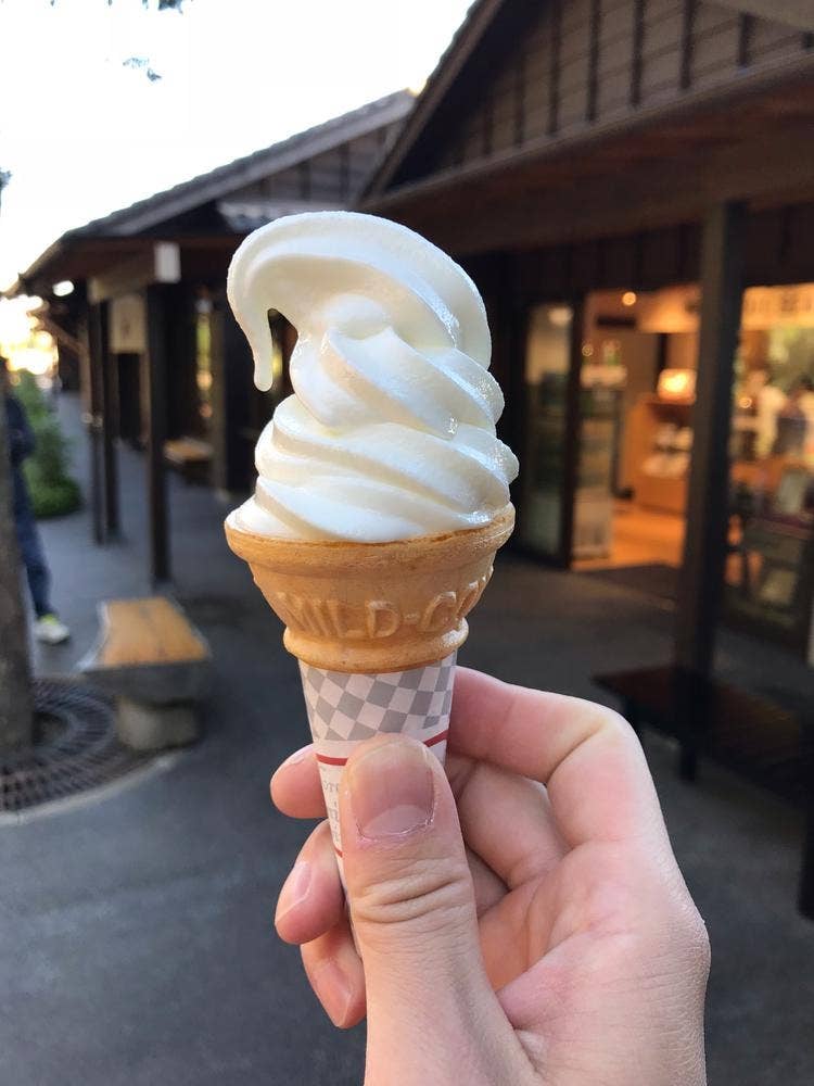 ブルーシール