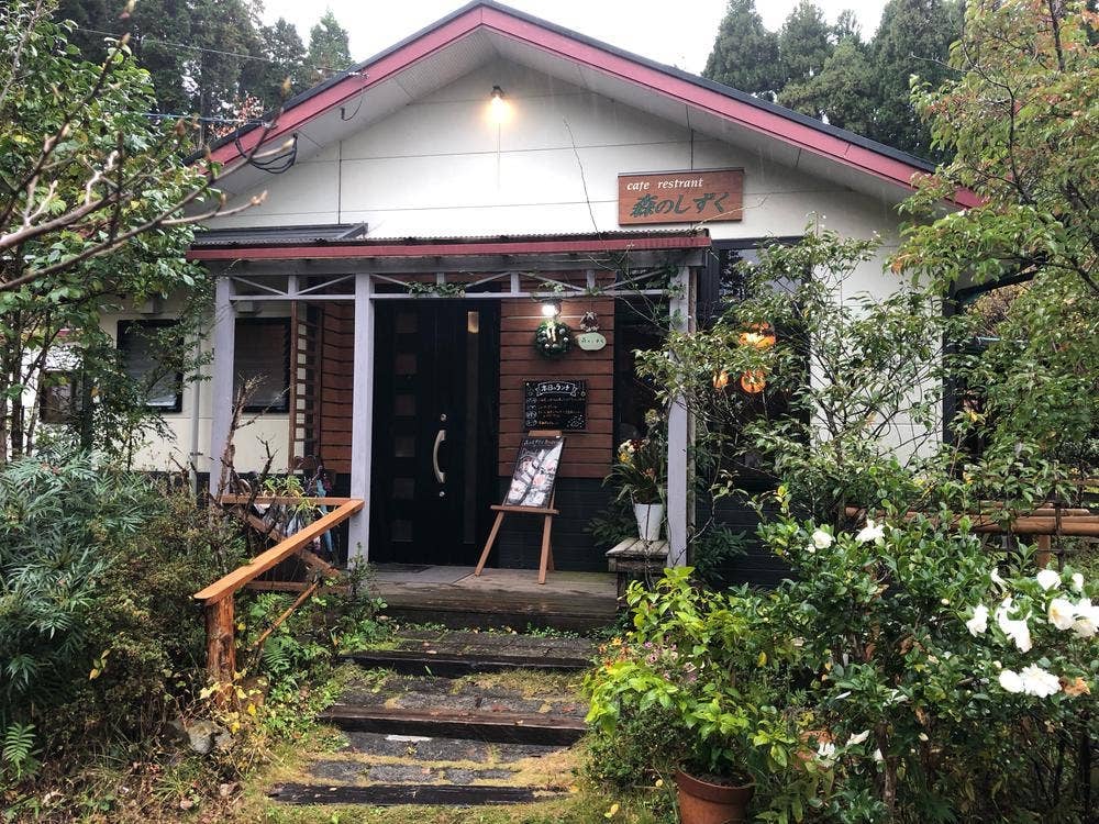 森のしずく