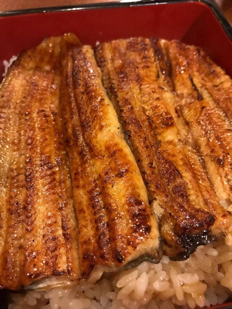 うなぎ・天ぷら かどもと