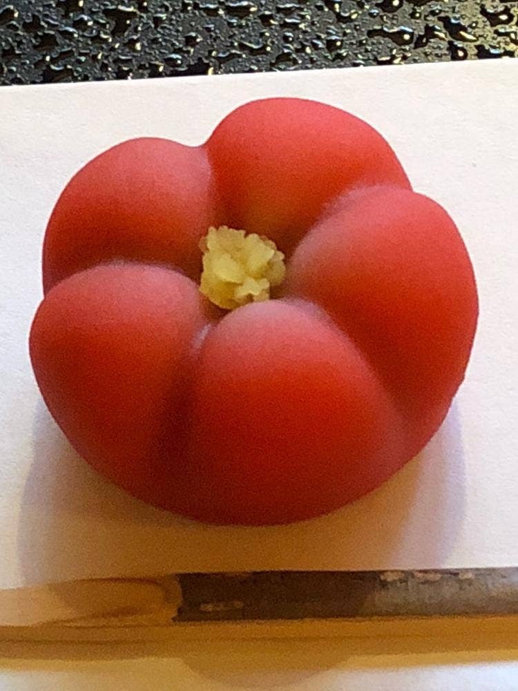 旧齋藤家別邸