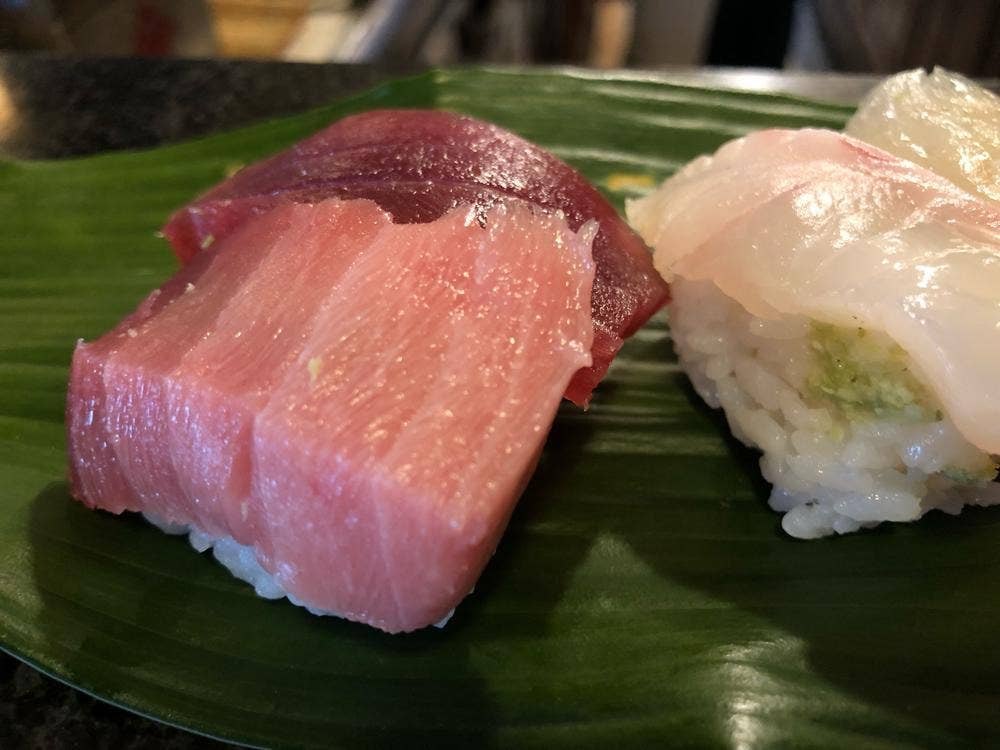 若駒