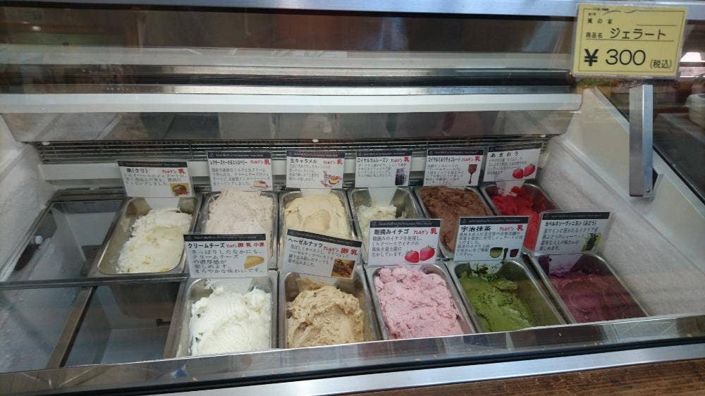 道の駅 風の家