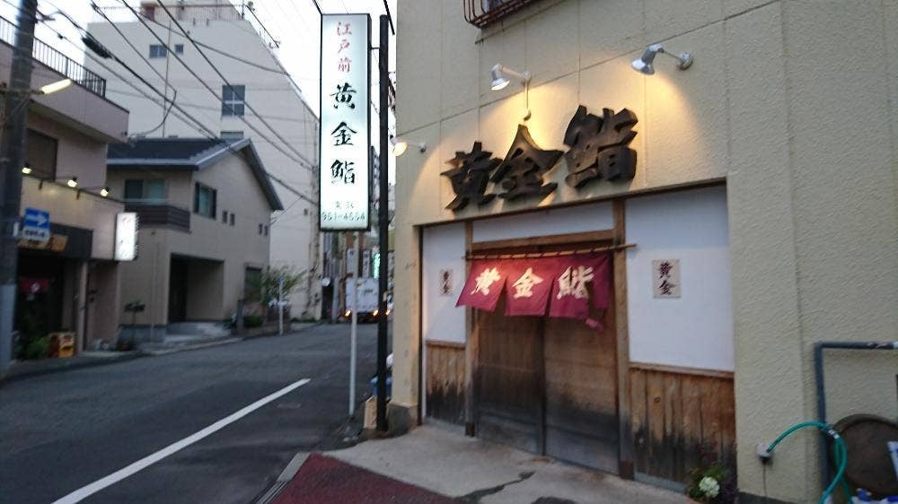 黄金鮨