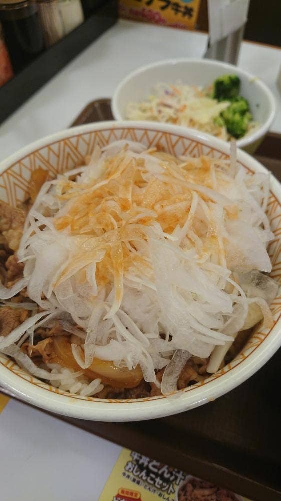 すき家 七尾藤橋店