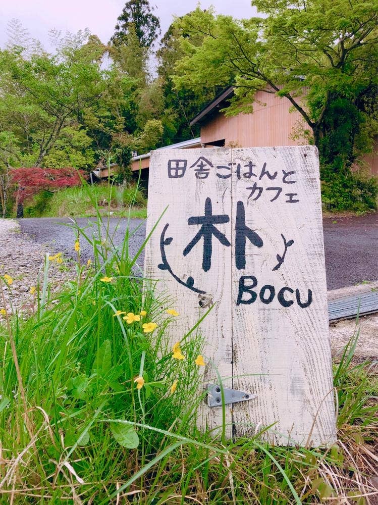朴 boku