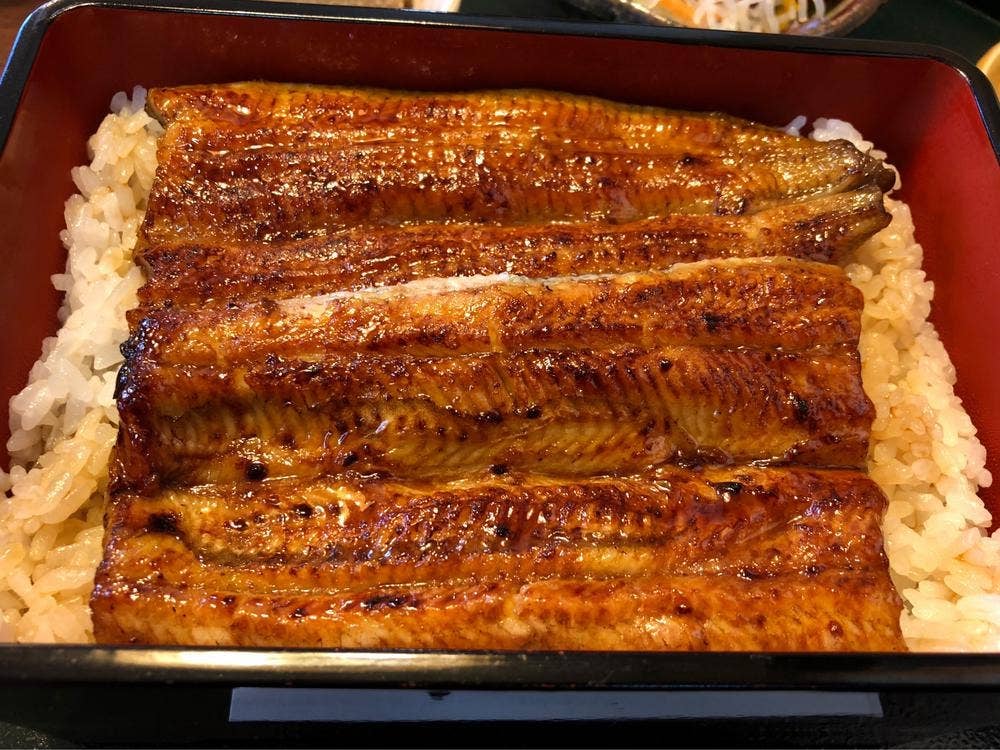 うなぎ 香野月