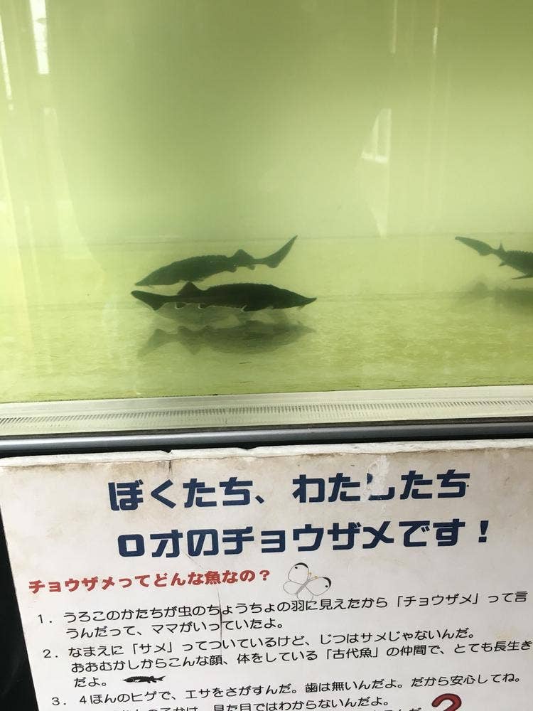 道の駅 しかおい