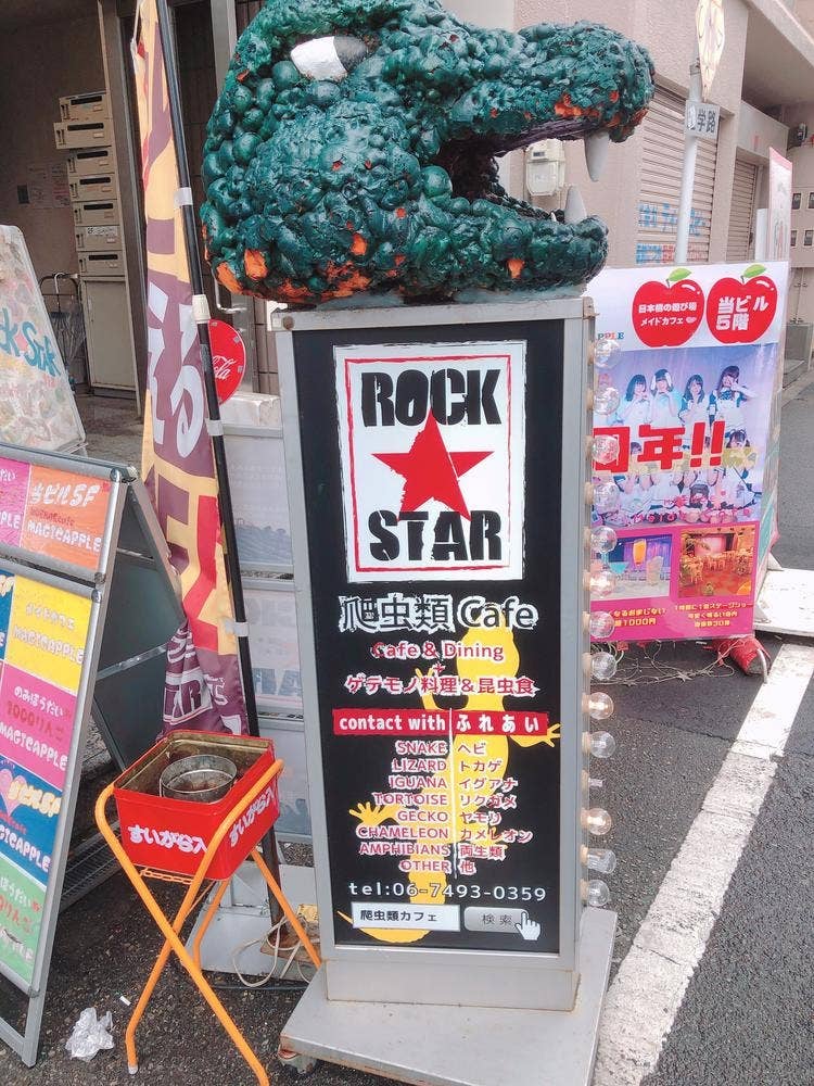 爬虫類カフェ ROCK STAR