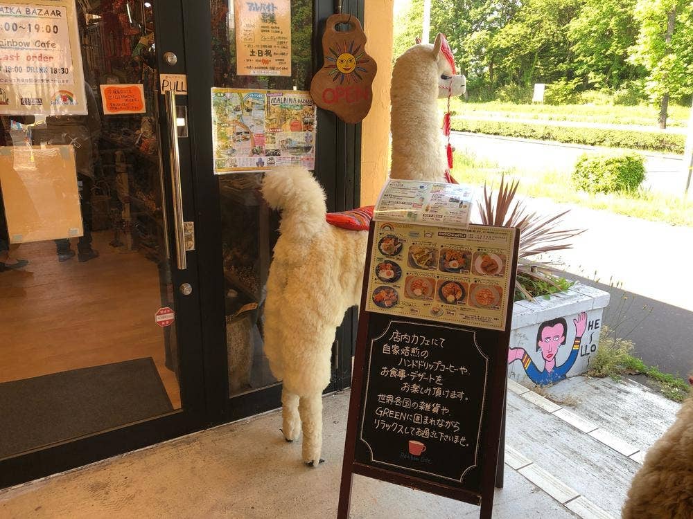 レインボーカフェ 筑波店