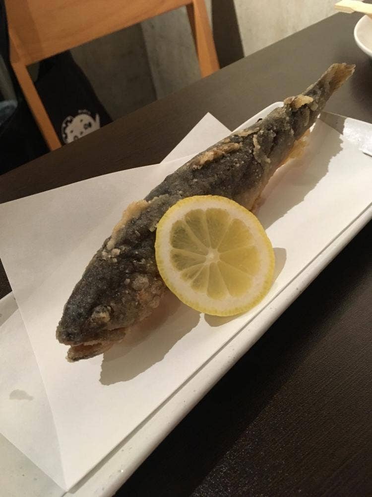 居酒屋 はまどおり/ かつ元