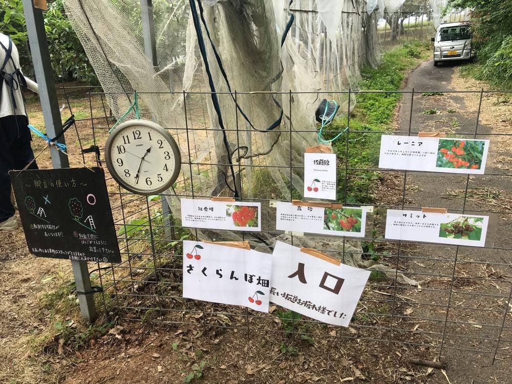 フルーツの森 平田観光農園