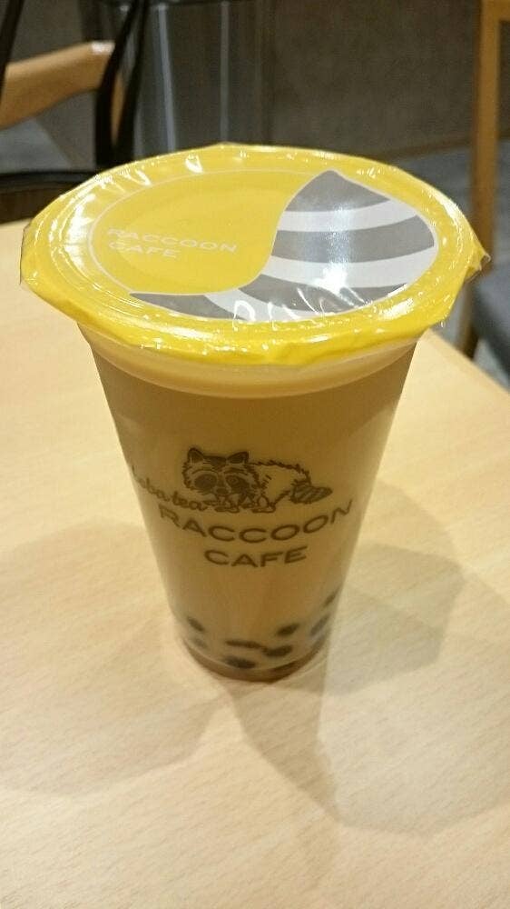 RACCOON CAFE