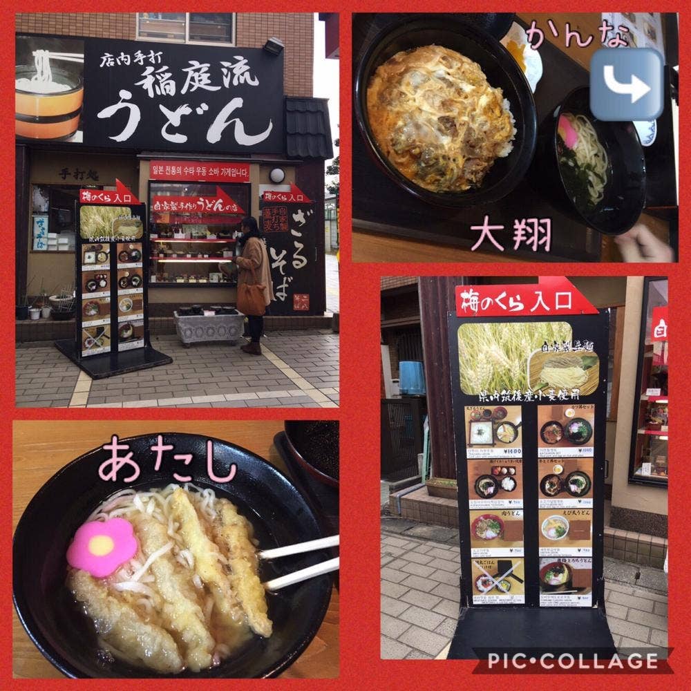 梅のくら