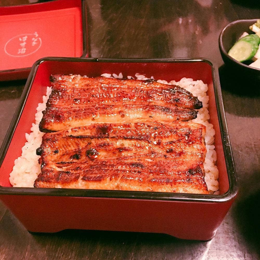 うなぎ はす沼