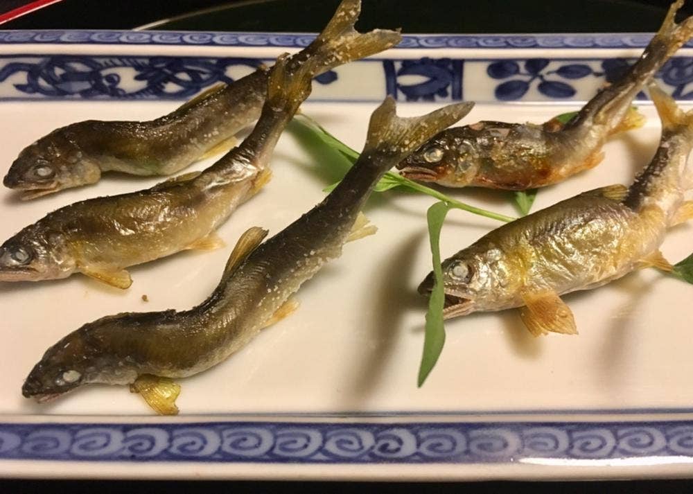 木屋町 蘭