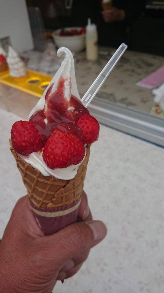松岡ドームいちご園
