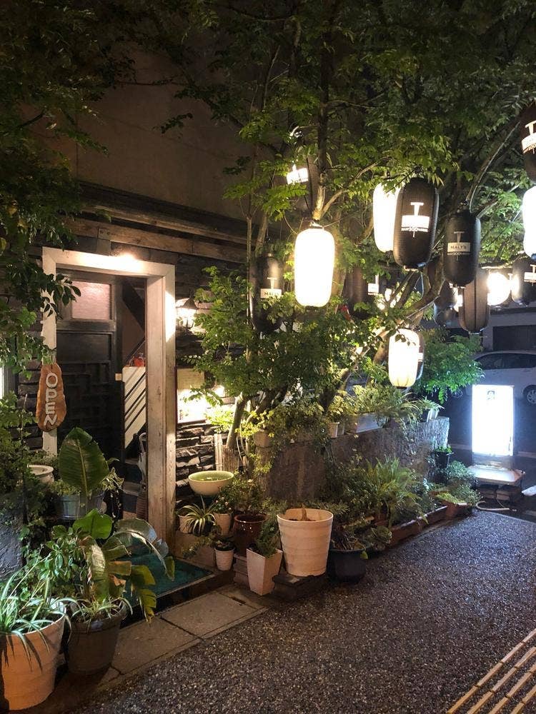 月夜の庭