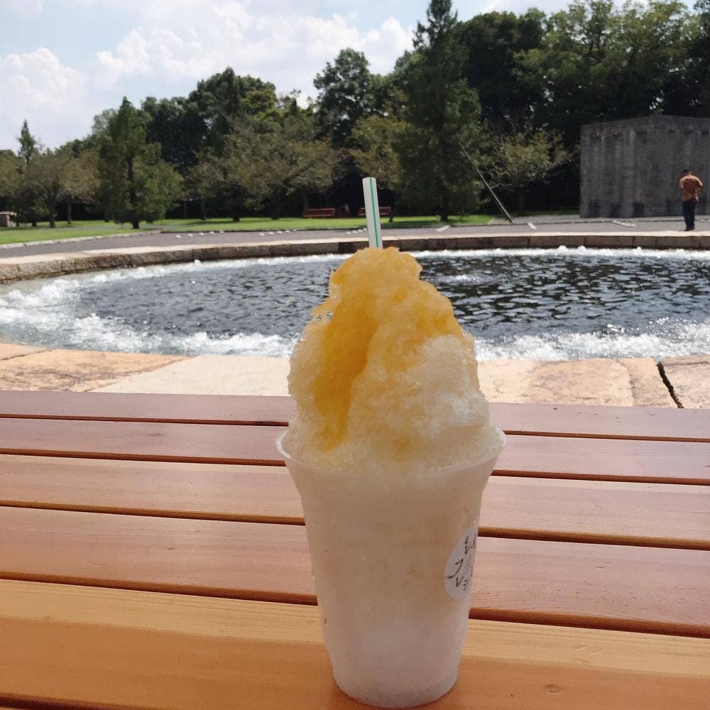 フレイトレシピ