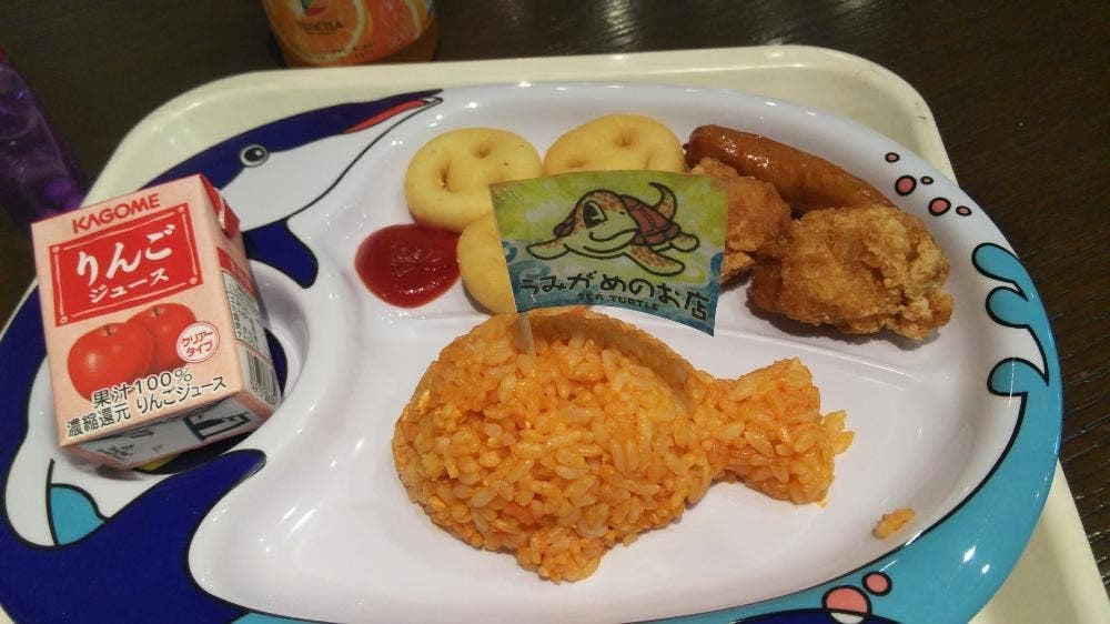 うみがめのお店 神戸市立須磨海浜水族園